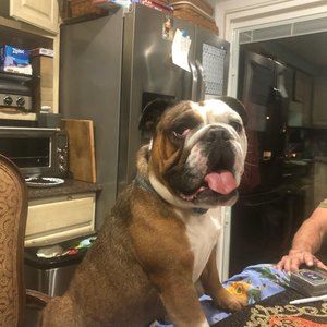 Meet your Posher, Nelly